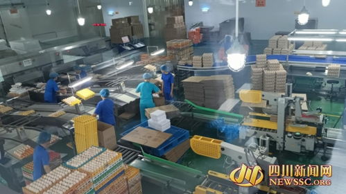 解碼省級健康食品產業園強勢崛起背后 背靠生態農業優勢 跑出綠色發展 加速度