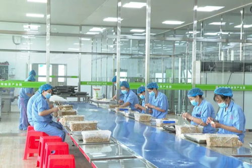 懷仁 讓預(yù)制菜產(chǎn)業(yè)發(fā)展步入快車道