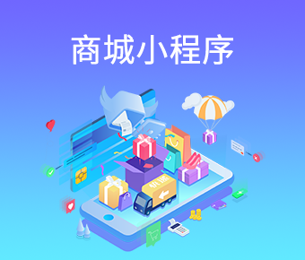 程序開發(fā)