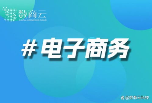 電子商城網(wǎng)站開發(fā)公司 數(shù)商云 打造卓越電商解決方案的領(lǐng)航者