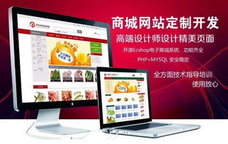 北海私人訂制網(wǎng)站開發(fā)建設(shè)推廣托管一條龍服務(wù)