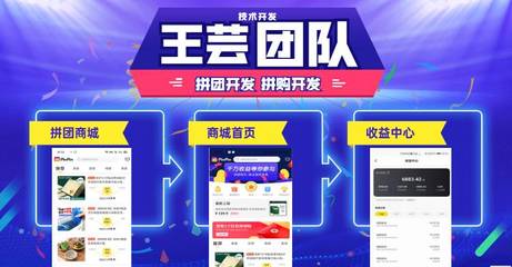 廣州拼購商城模式 商城定制