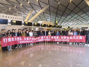 桂林定制開發軟件公司,承接各類it外包業務,開發各類系統