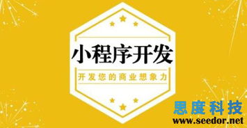 選擇定制化的方式去開發(fā)小程序更好吸引客戶