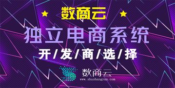 獨立商城系統平臺開發公司哪家靠譜